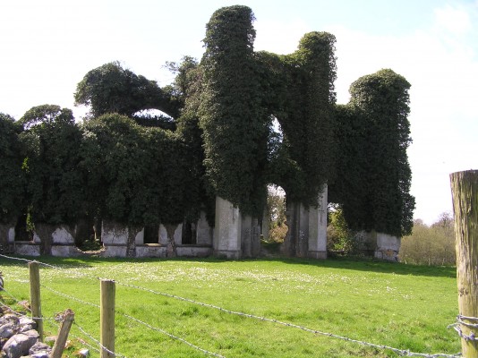 The Castle Moydrum in February 2008