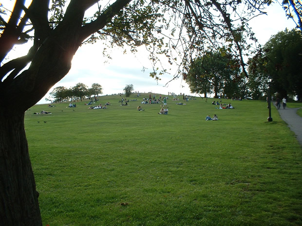 Primrose Hill summer 2007 photo by Emanuel Berglund