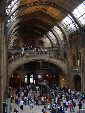Central Hall of the museum - (GNU) Floriel