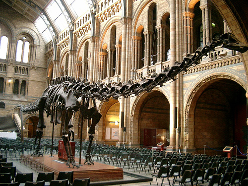 Central Hall, stairs visible behind the skeleton - (cc) Singularidad Desnuda