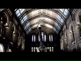 Central Hall and Diplodocus skeleton from the video